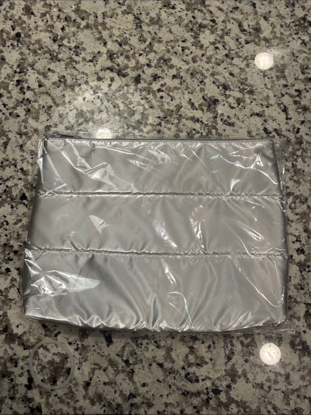 Silver puffer Zip Pouch